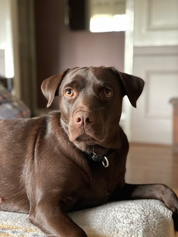 Ramona