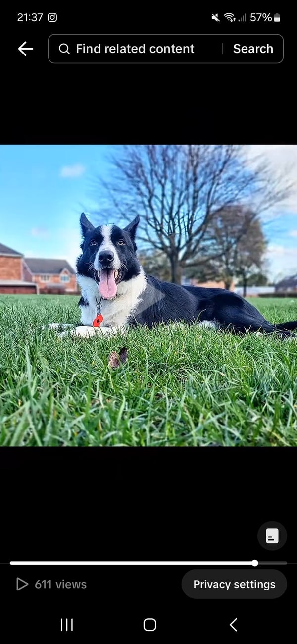 Patch