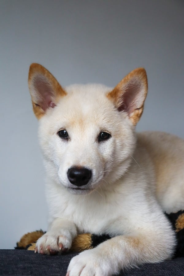 Yuji