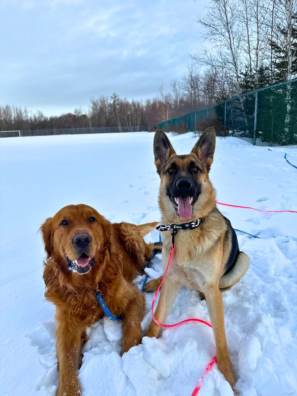 Duster and Rebel