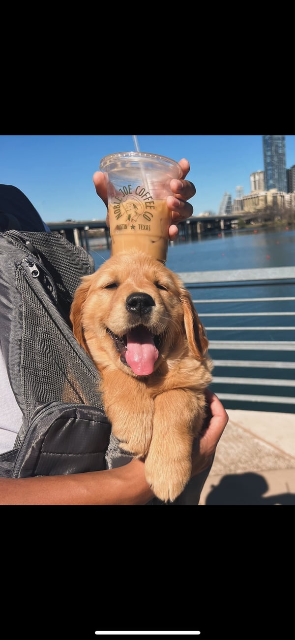 Nala
