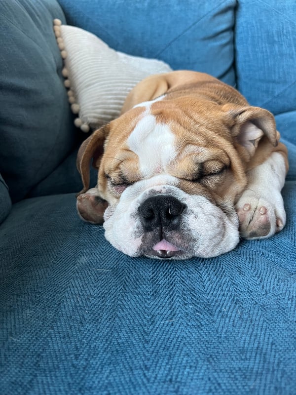 Otis