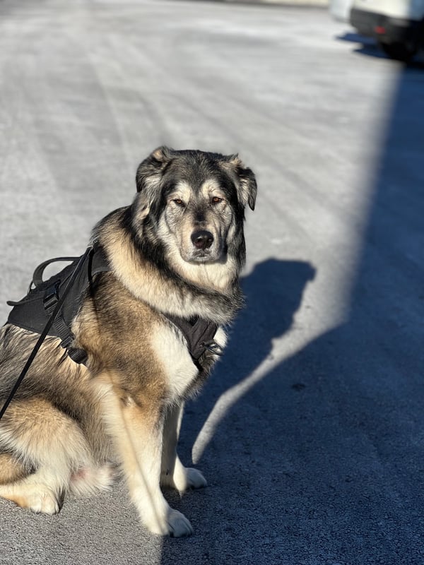 jax