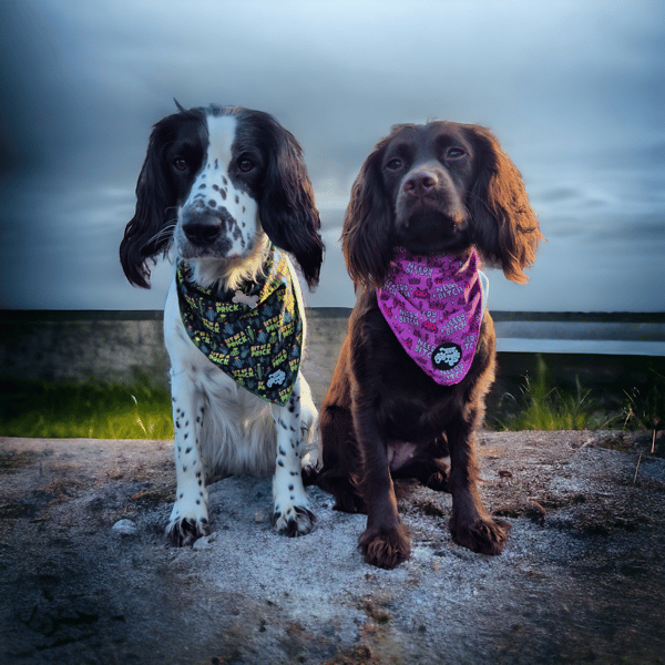 Belle and Lottie