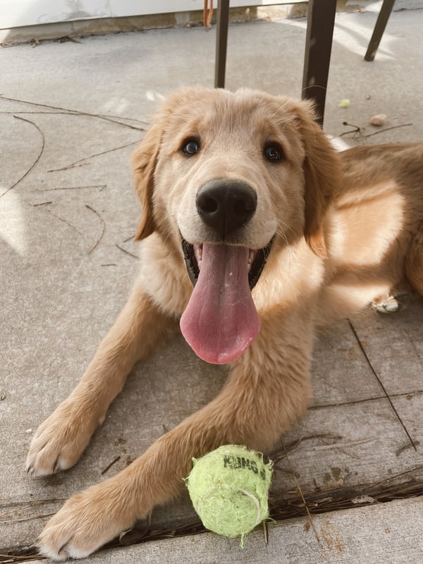 Murphy