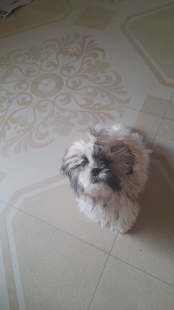 zoe