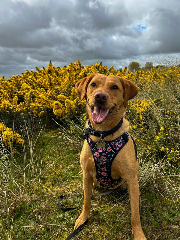 Winnie