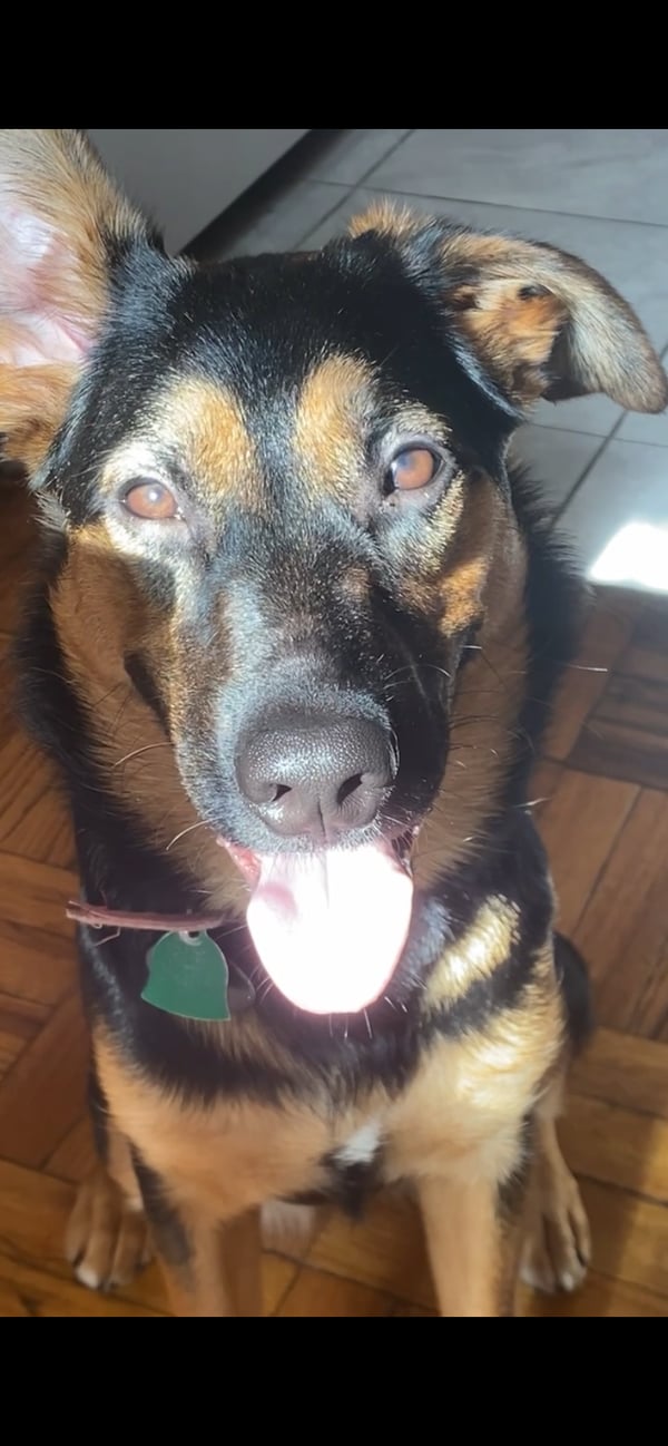 Lyla