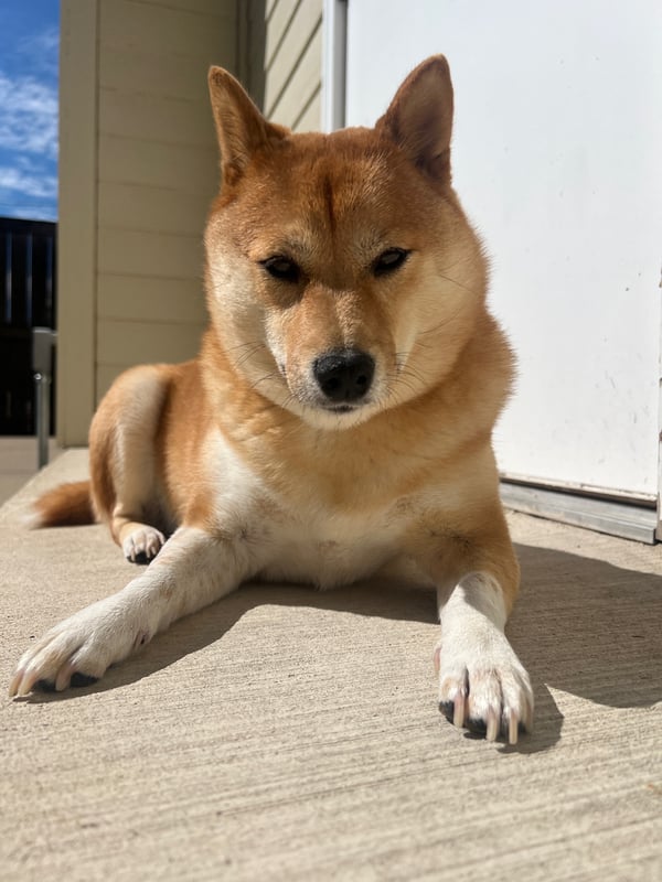 Luna