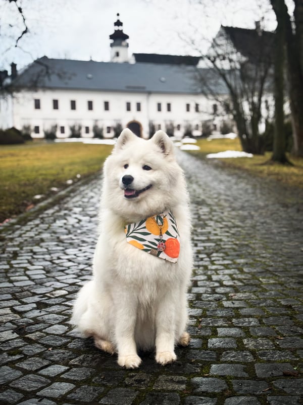 Zoe