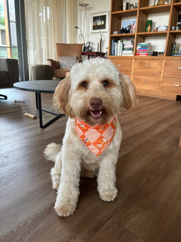 Jax