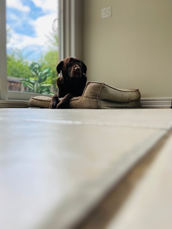 Diesel