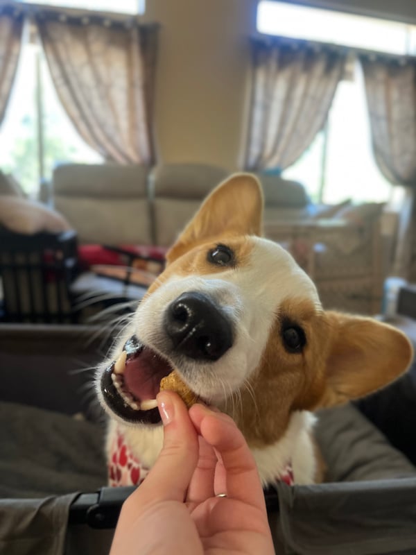 Nemo