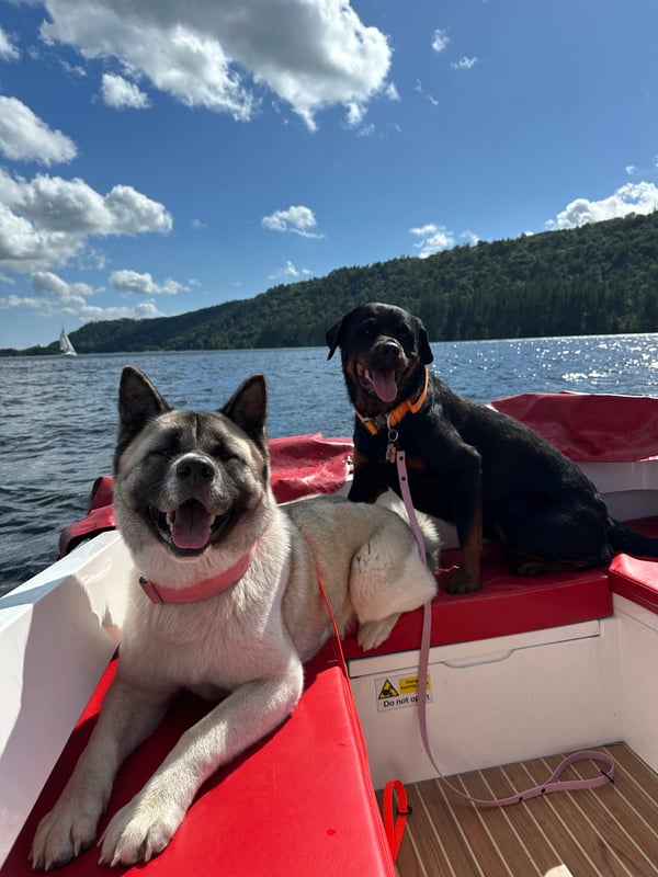 Skye&Nala