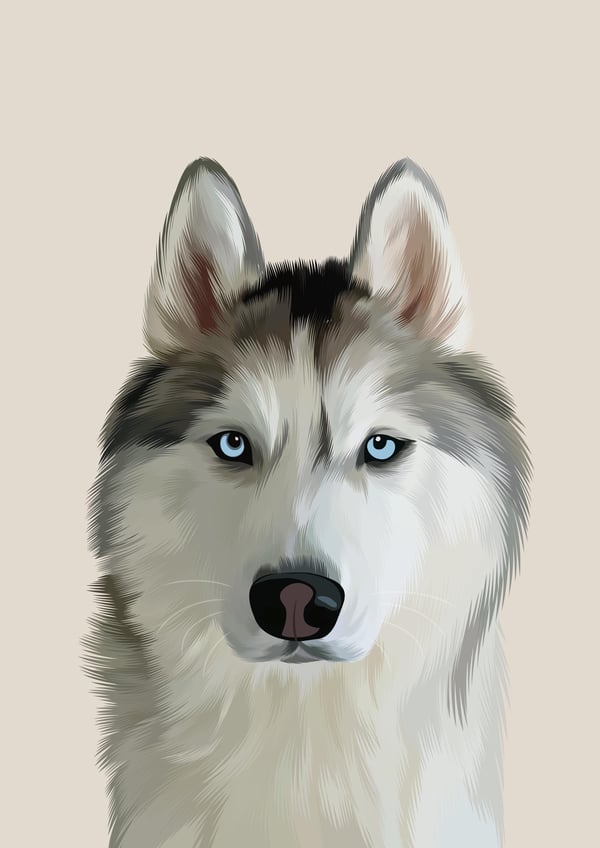 Rex