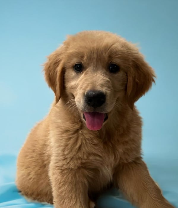 Winnie