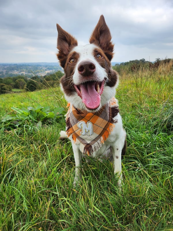 Max