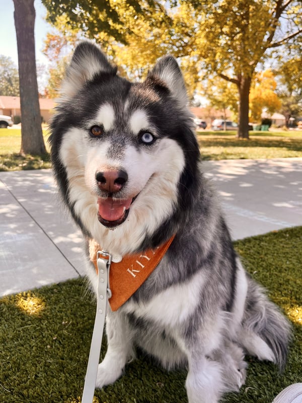 Kiya