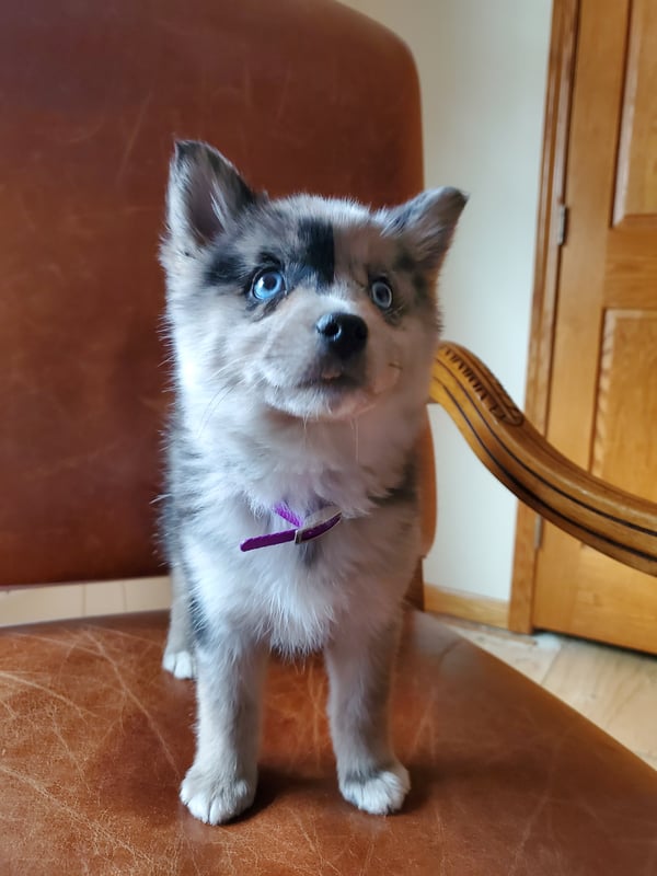 Luna
