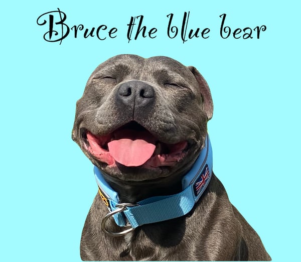 Bruce