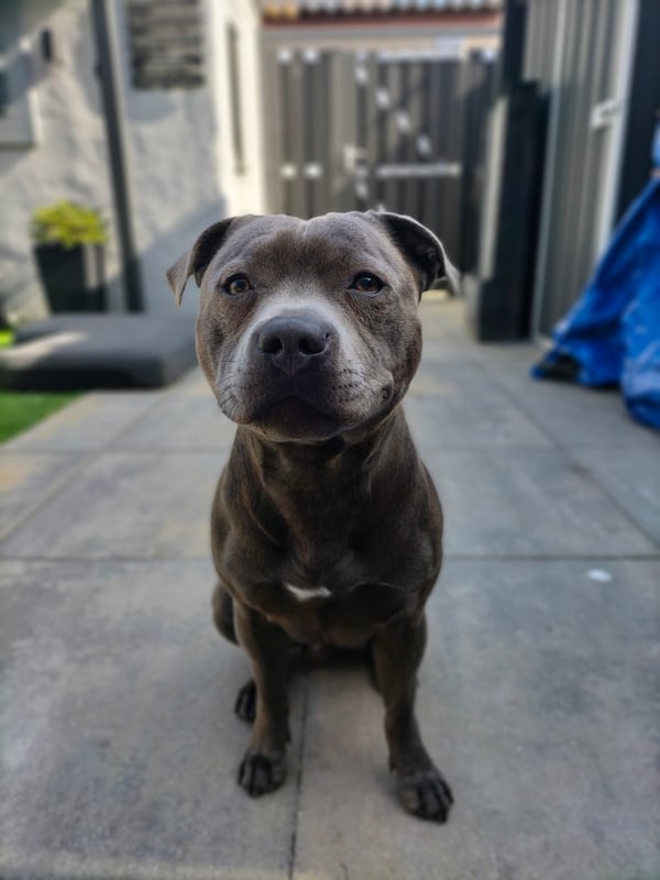 Tyson