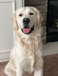 Bruno