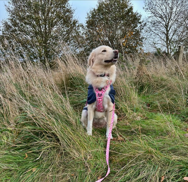 Cleo