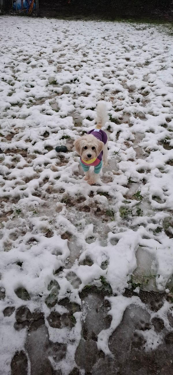 Skye
