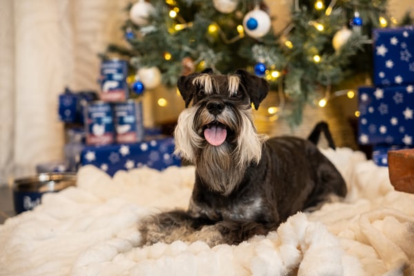 Milo