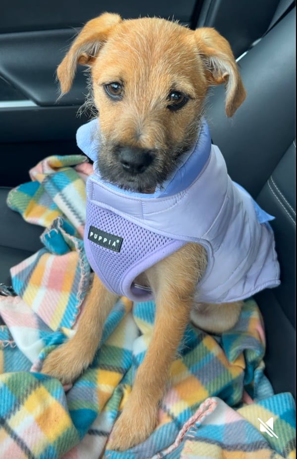 Winnie Lou