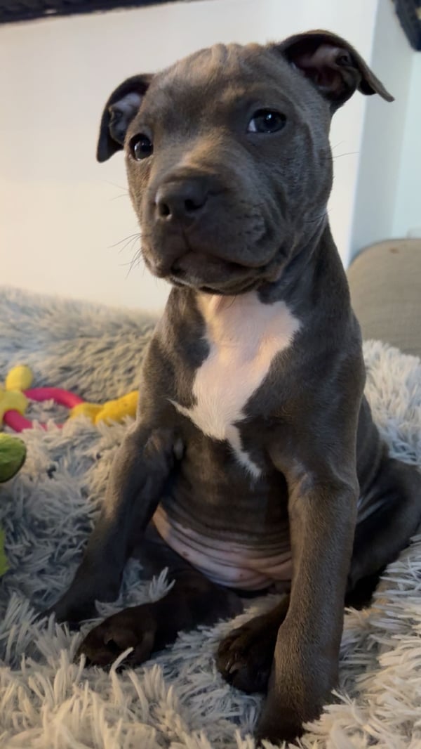 winnie