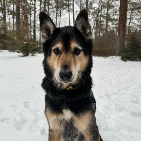 Max