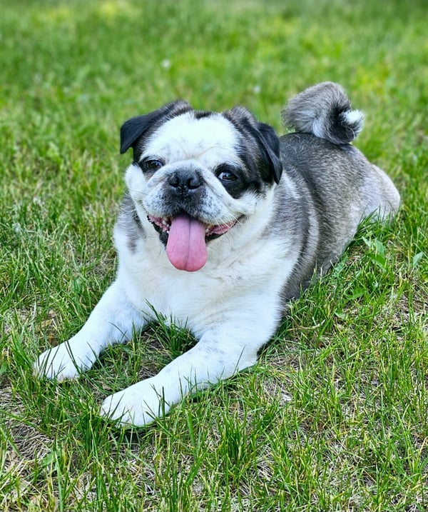 Oscar