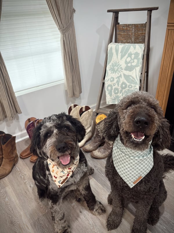 Oakley & Finley