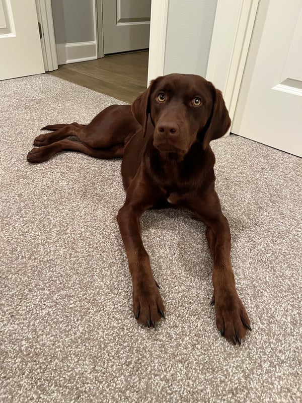 Remington, goes by "Remi"