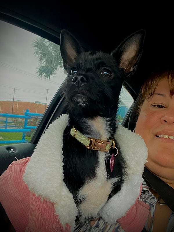 Coco