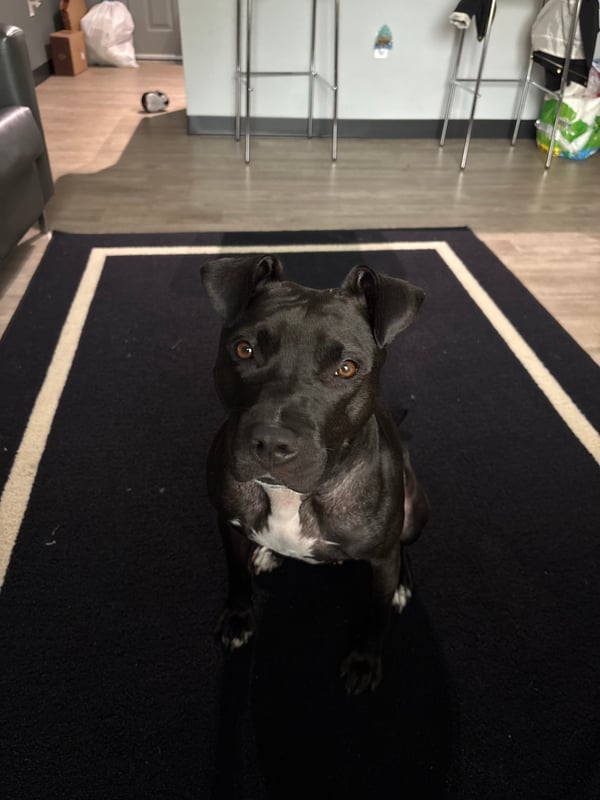 Luna
