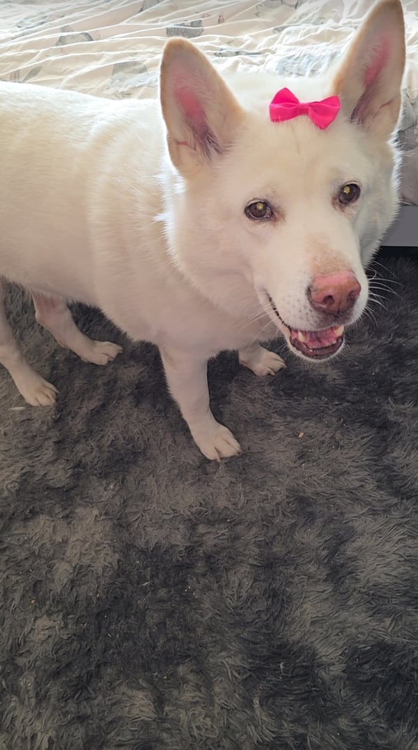 Mya