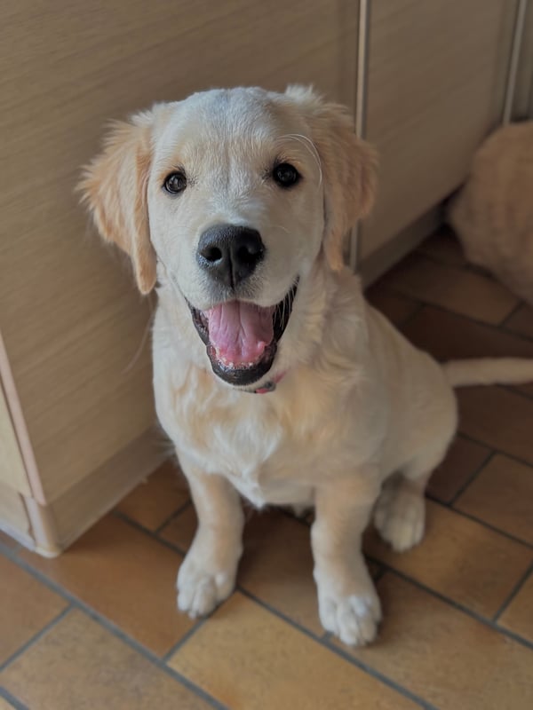 Silla