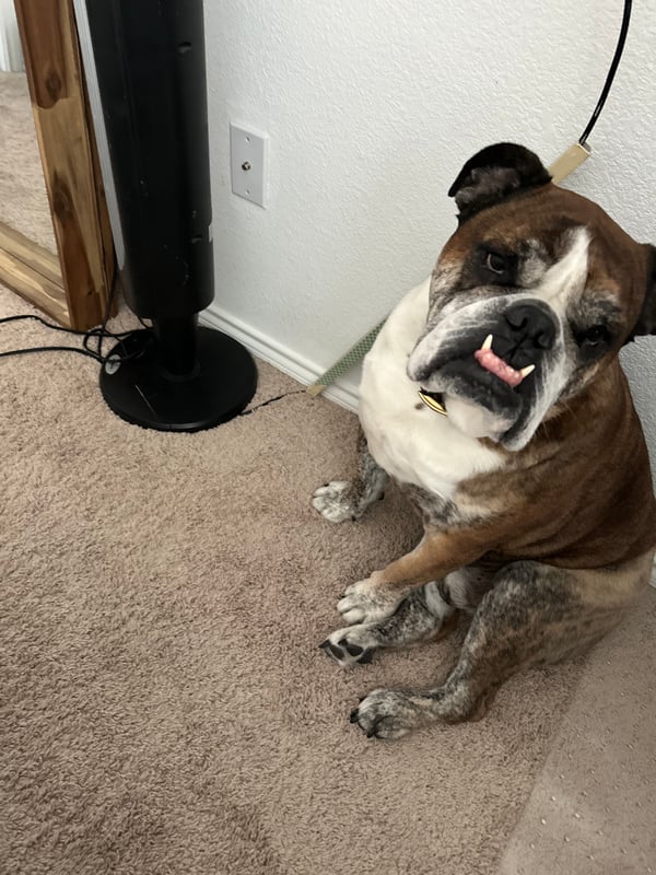 Max