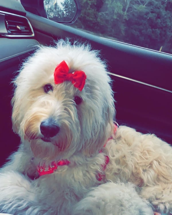 Piper Ray