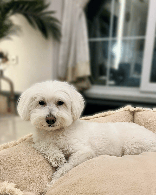 Casper