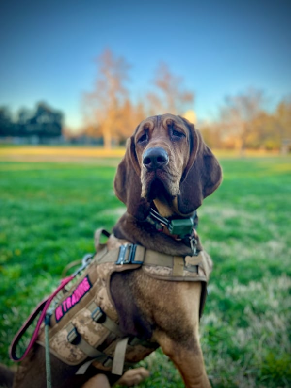Emma Redbird