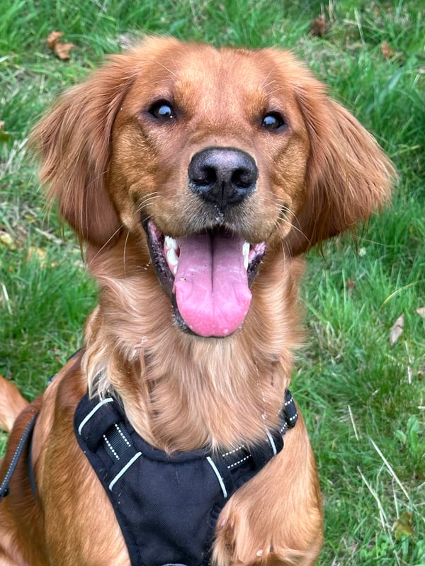 Kaia