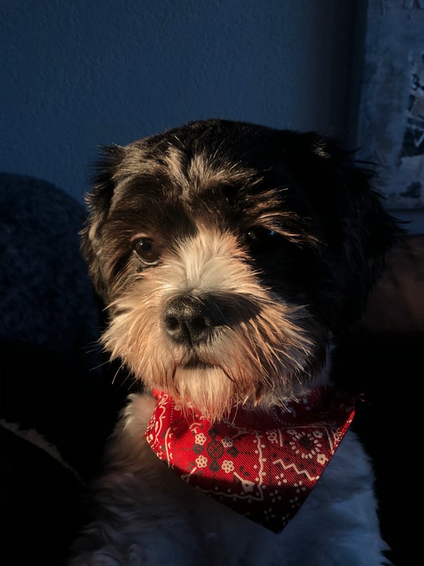 Bailey