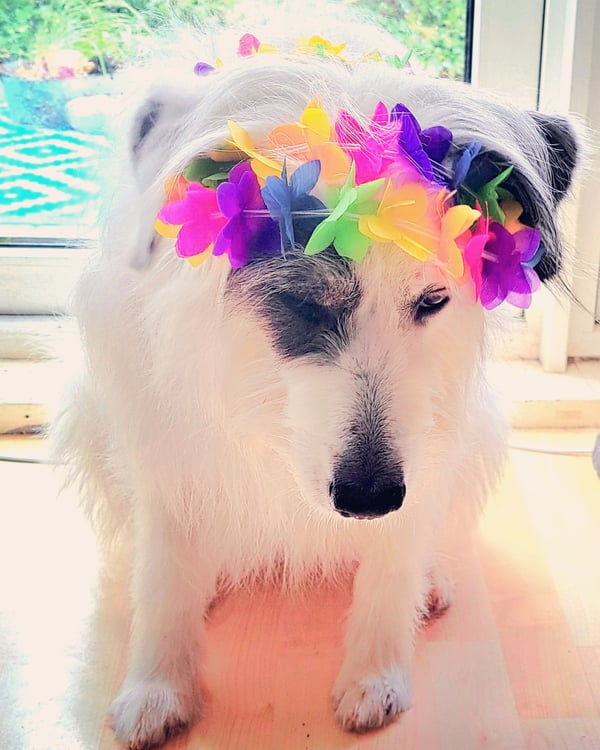Ruska