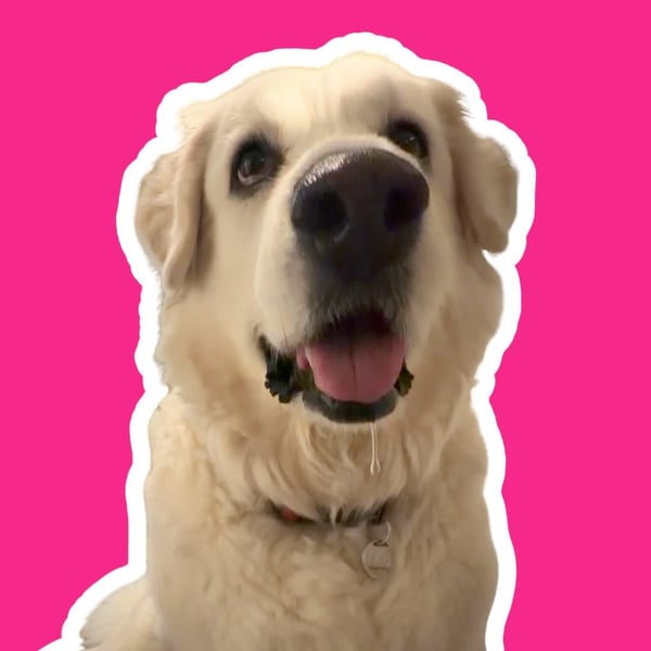 Zoey