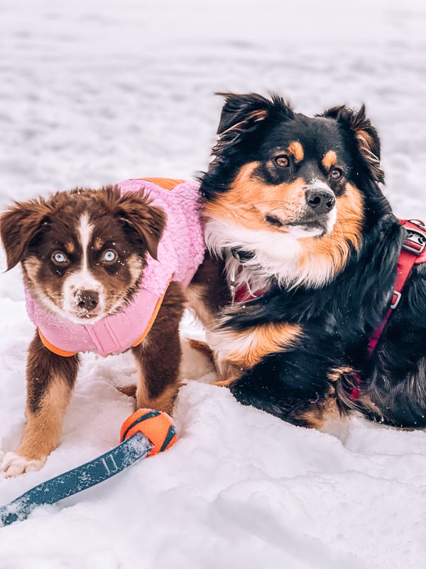 Indigo and Issa