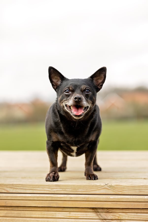 Prue
