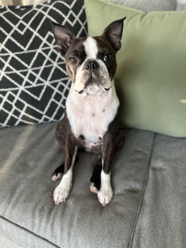 Rosie